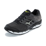 Mizuno Paradox 5