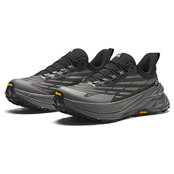Anta