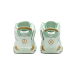 Jordan Air Jordan 6 LTL Flex GC