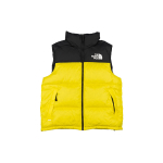 THE NORTH FACE 1996 Retro Nuptse 700