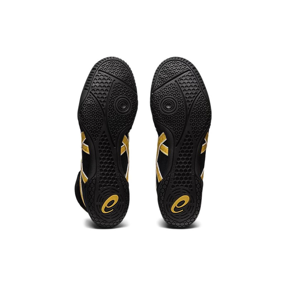 Asics Dan Gable Evo 3