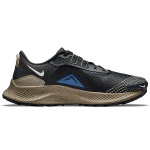 Nike Pegasus Trail 3