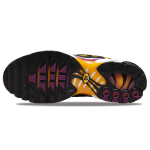 Nike Air Max Plus