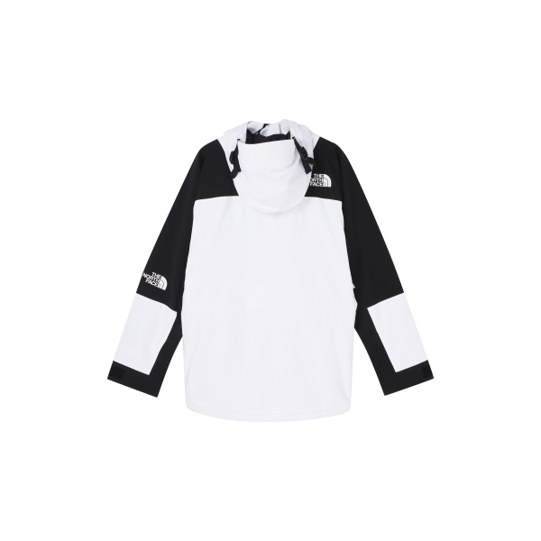 THE NORTH FACE 1994 Retro Mountain Light Futurelight™ logo