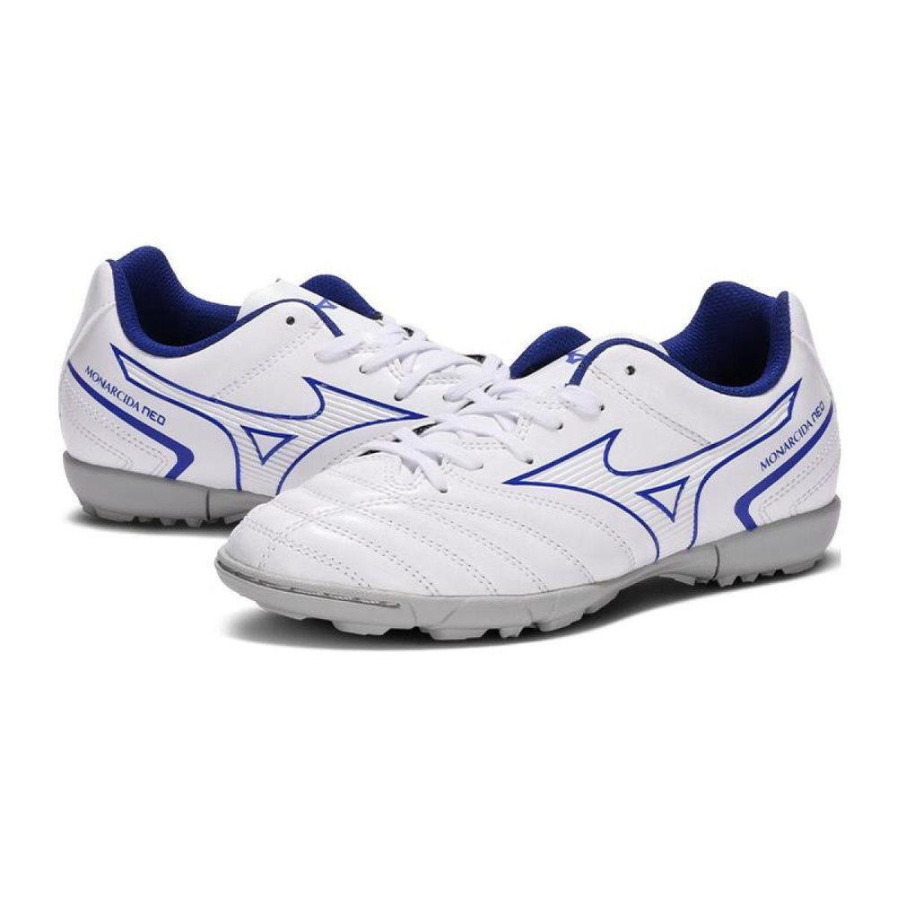 Mizuno Monarcida