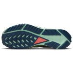 Nike Pegasus Trail 4