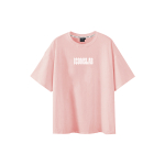 ICONS Lab T