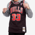 Mitchell & Ness NBA SW · 33